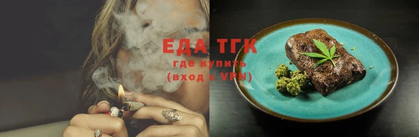 индика Санкт-Петербург