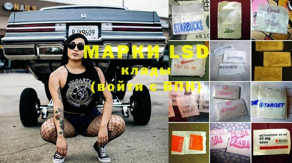 apvp Ессентукская