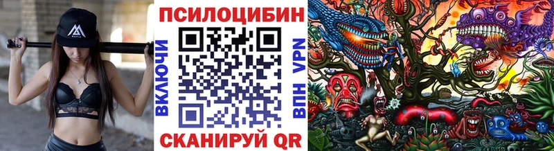 Псилоцибиновые грибы прущие грибы  Купить  Ярославль 